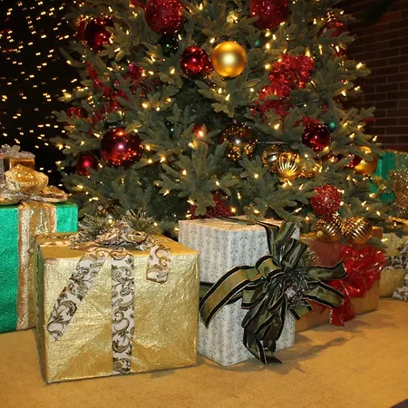 Hyatt Lodge Oak Brook Chicago