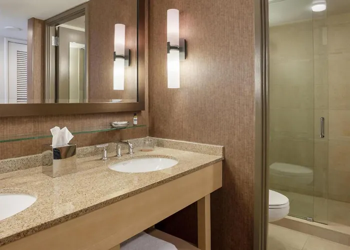 Hyatt Chicago 4* Oak Brook