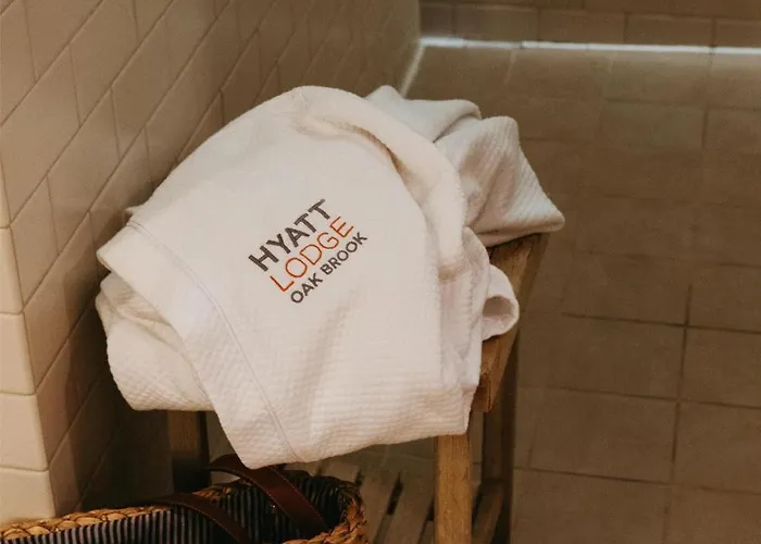 Hotel Hyatt Chicago 4*